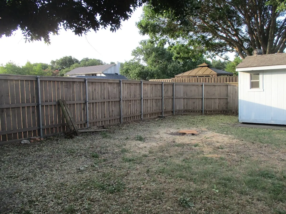Cleared yard after professional tree removal in Chicago