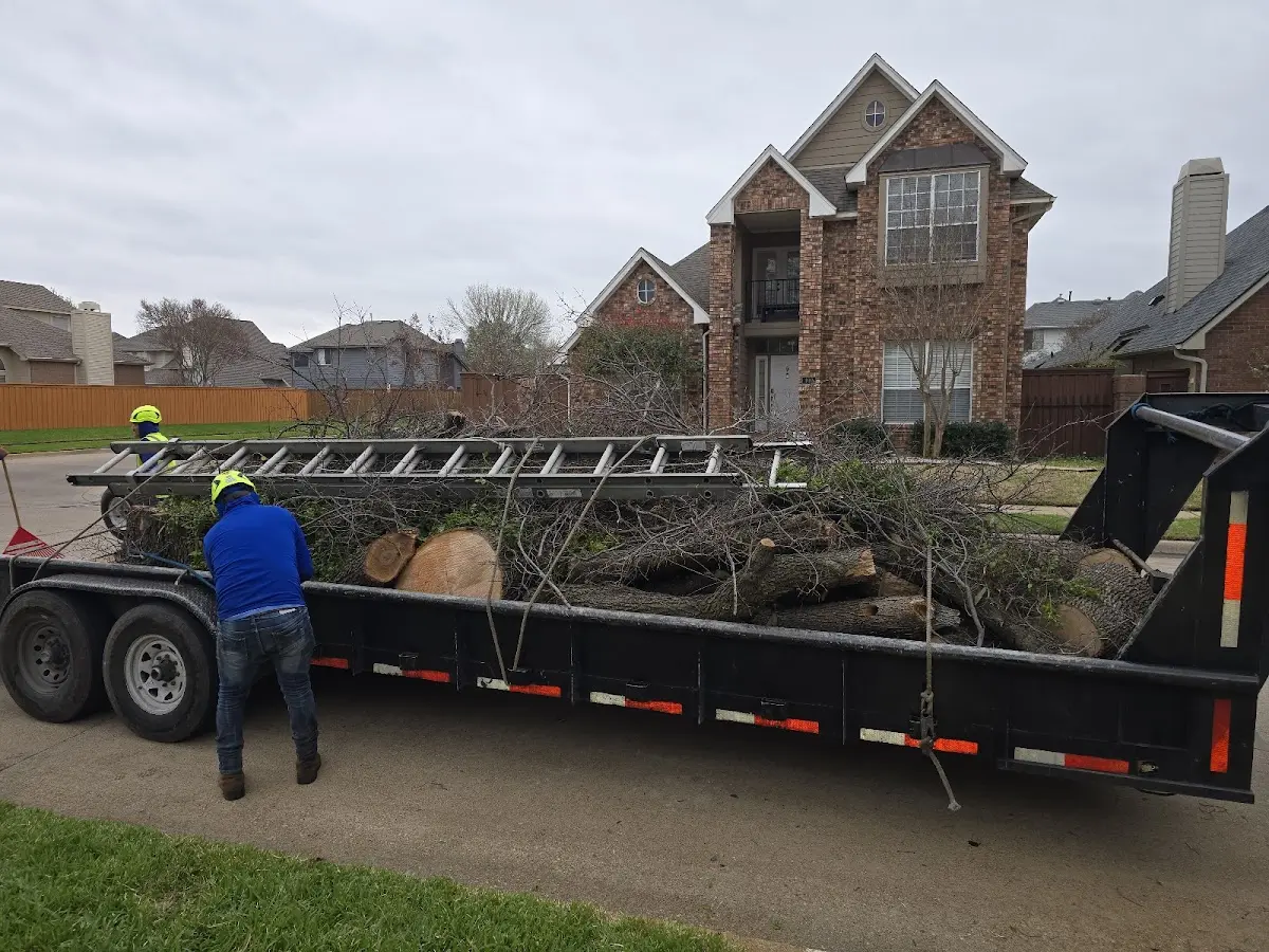 Expert Lot Clearing with proper safety equipment in Chicago